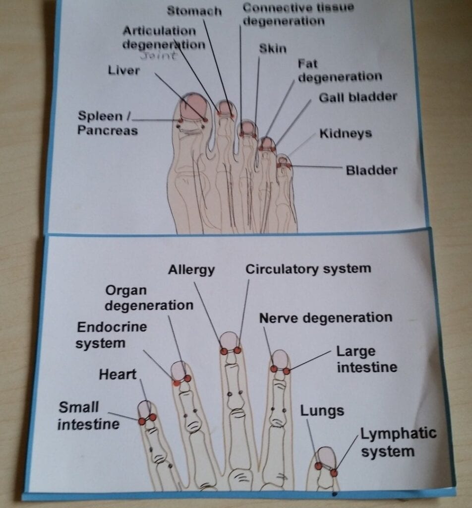 A poster explaining the meridian points on hands and legs