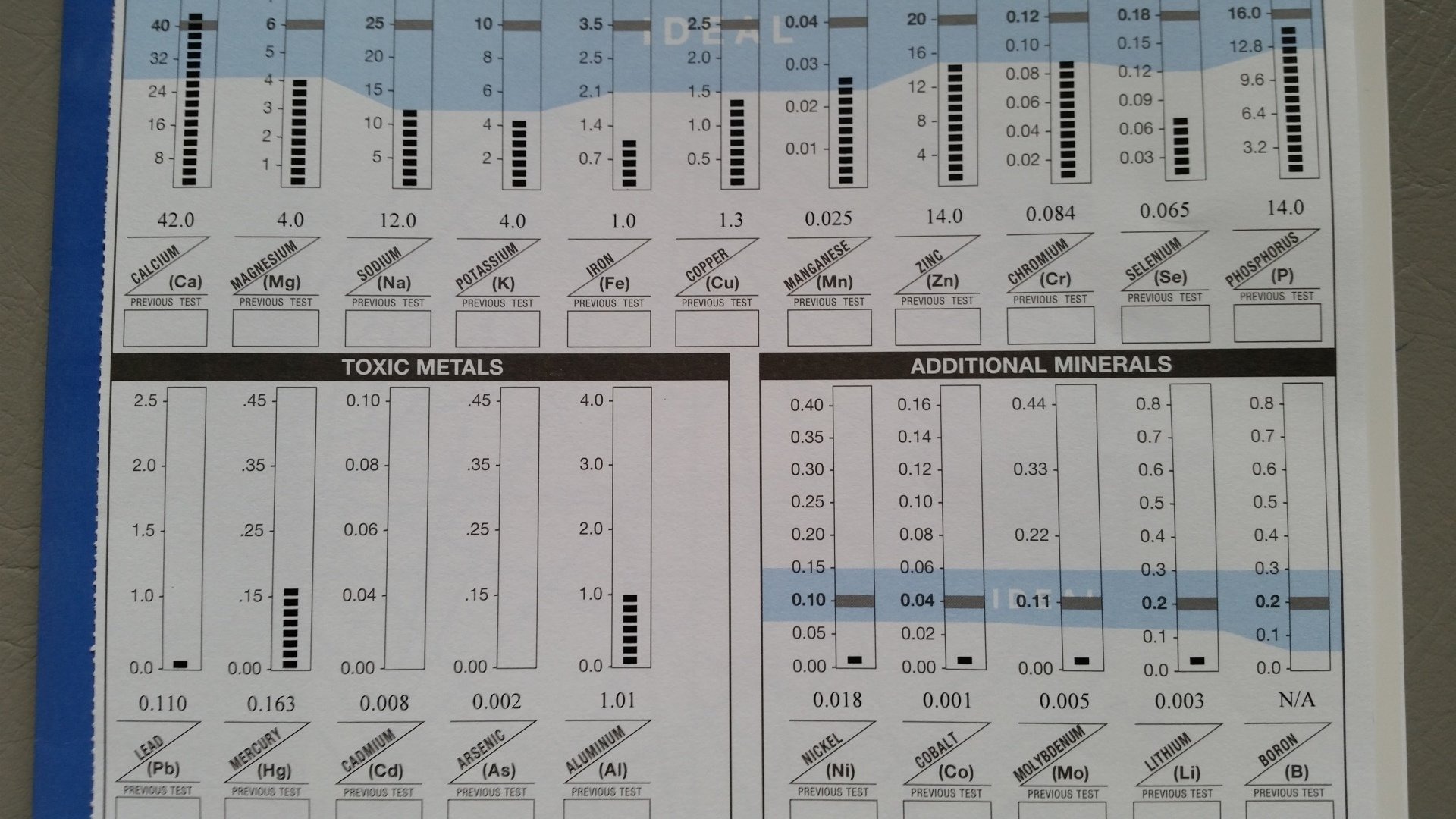 A sheet explaining toxic metals and additional minerals in the body